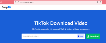 tiktok downloader