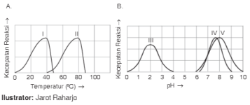 grafik kecepatan reaksi  enzim terhadap suhu