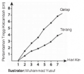 pengaruh cahaya matahari terhadap laju pertumbuhan kecambah kacang hijau pengaruh cahaya matahari terhadap laju pertumbuhan kecambah kacang hijau