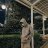 aulia_28